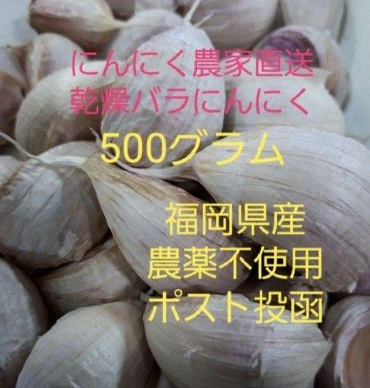 バラにんにく500g 自然農法 福岡県産
