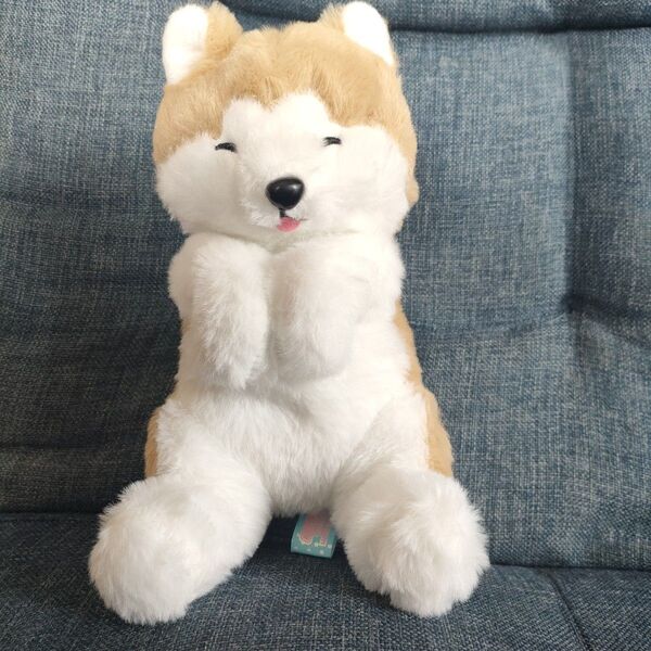 AMUFUN ぬいぐるみ 秋田犬 タイトー限定