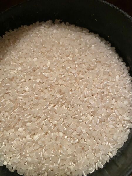 令和六年東北産 クズ米 精米 白米 約20kg