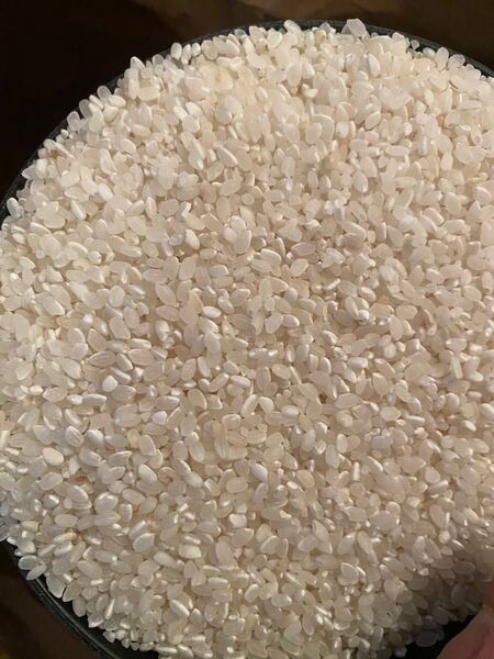 令和六年 東北産 精米約20.5kg 白米 クズ米