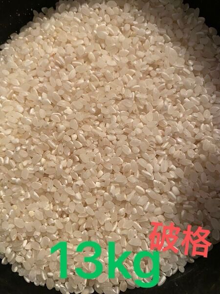 早い者勝ち 令和六年 東北産 精米 約13kg 白米 クズ米 選別機 小粒米