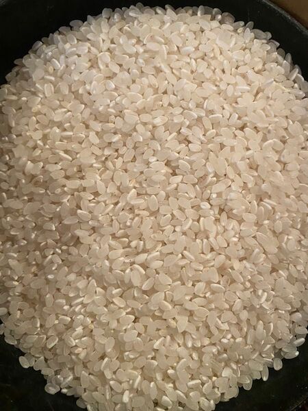 令和六年 東北産 白米20kg 精米 小粒米