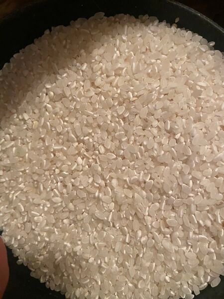 令和六年東北産 白米約20kg 精米 小粒米 割れ