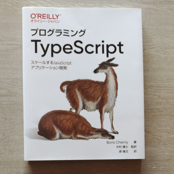 プログラミングTypeScript スケールするJavaScriptアプリケーション開発 O'REILLY