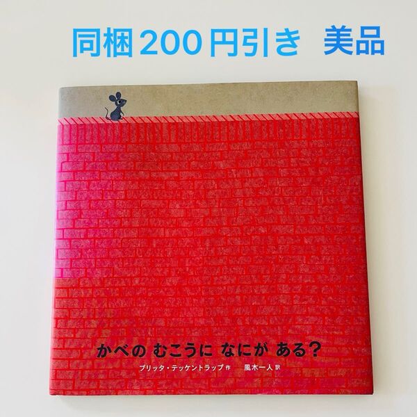 かべのむこうになにがある? ブリッタ・テッケントラップ/作 風木一人/訳