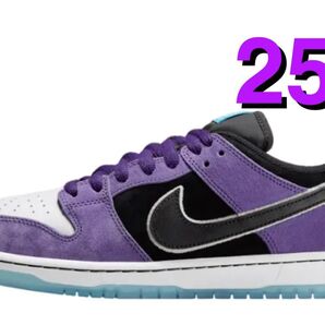 25.5 Hayley Wilson × Nike SB Dunk Low