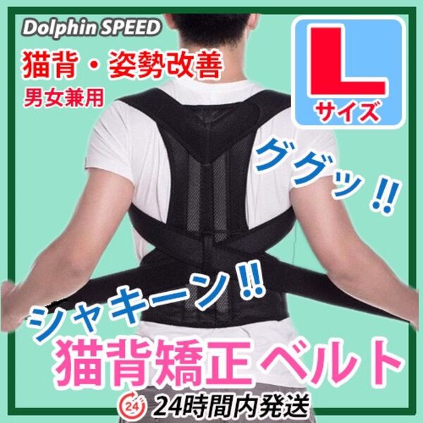猫背矯正ベルト《 Lサイズ 》姿勢矯正ベルト 姿勢改善 ねこ背改善 背筋 :黒