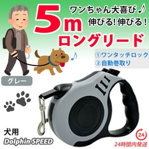 ロングリード【 5m / グレー / 犬用】自動巻き取り伸縮リード 長い 軽い コンパクト お散歩
