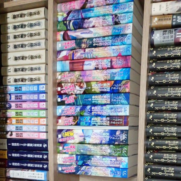 賢者の弟子を名乗る賢者 1 (GC NOVELS) りゅうせんひろつぐ/著