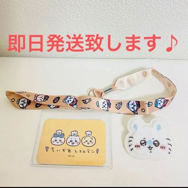 未使用に近い ちいかわ ネックストラップ カード ケース ハチワレ うさぎ モモンガ ワッペン ブローチ