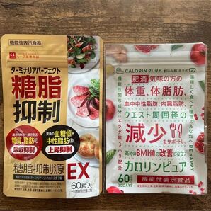 新品 ダイエット サプリメント 2袋セット 糖脂肪抑制 カロリンピュア 吸収抑制 血中脂質 内臓脂肪 サプリ