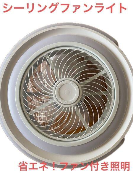 新品 LED シーリングファンライト シーリングファン 応援 ファン付き照明 調光調色 高輝度 静音 省エネ 天井扇風機 照明器具