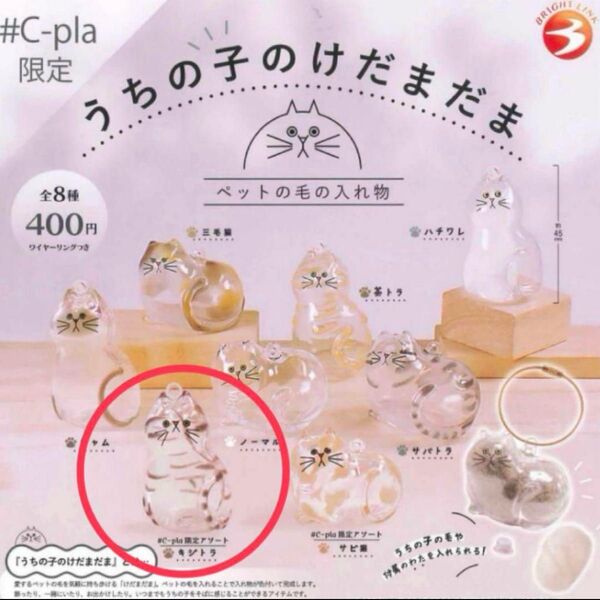 うちの子のけだまだま ガチャガチャ キジトラ