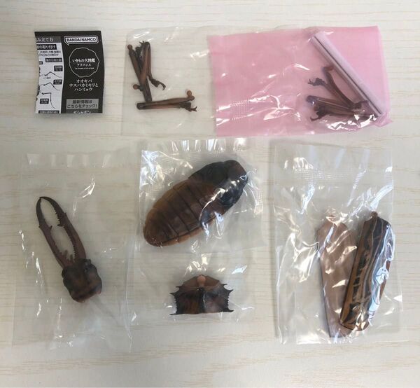 いきもの大図鑑 オオキバウスバカミキリとハンミョウ オオキバウスバカミキリ(ダーク)カプセル版