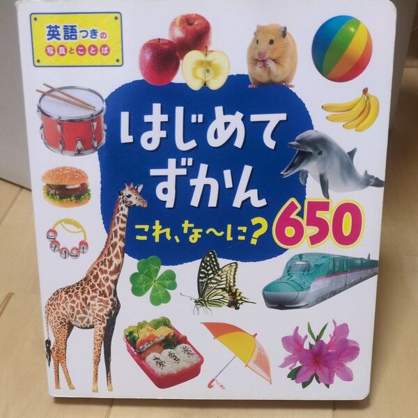 はじめてずかん これ、なあに? 650 英語つきの写真と言葉