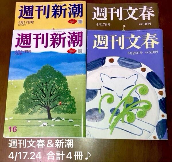 週刊新潮 &文春2025年4月17.24日号 合計4冊♪皇室、トランプ、白鵬、広末涼子他