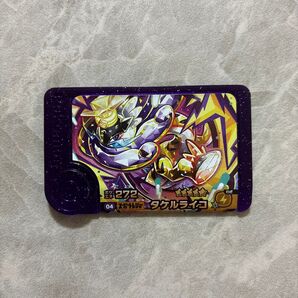 ポケモンフレンダ スーパートレジャータグ タケルライコ