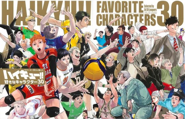 ハイキュー!! Sportiva バレーボール 特集号 Vol.3 付録のみ