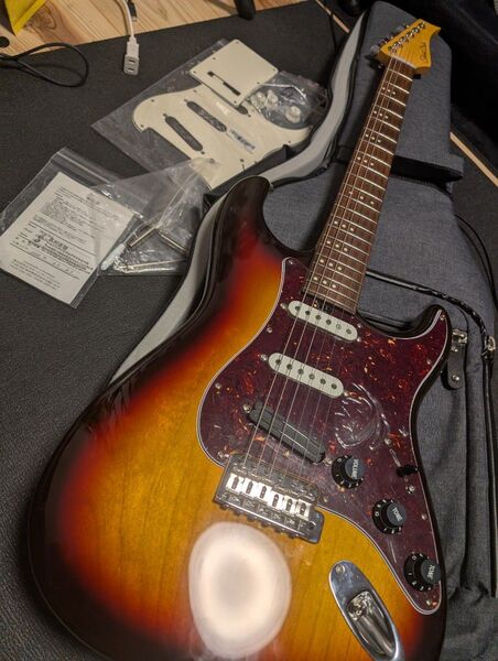 Three Dots Guitars s ケース付 オーダーピックガード付