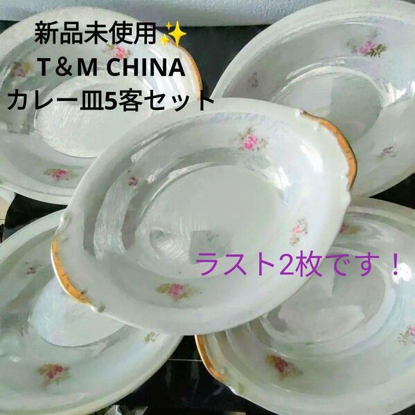 新品 T&M 昭和レトロ オーロラ ラスター 虹彩 金彩 カレー皿 オーバル 2客 薔薇