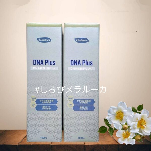 ☆新品未開封 メラルーカ DNAプラス 核酸ドリンク 2本 おまとめ値下げ中! 公式正規品 (21)