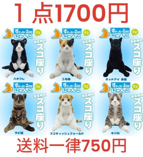 すわっちぃ Zoo にゃんこ 1点