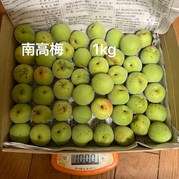 南高梅 1kg