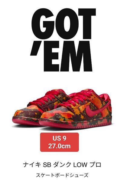 The Wizard of Oz × Nike SB Dunk Low Poppy Field オズの魔法使い × ナイキ SB