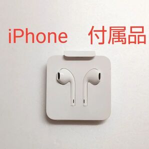 新品未使用 純正 付属品 Apple iPhone ライトニング 有線イヤホン アップル Lightning イヤホン イヤフォン