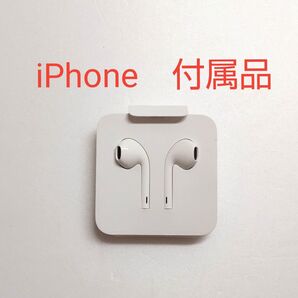 新品未使用 純正 付属品 Apple iPhone ライトニング 有線イヤホン アップル Lightning イヤホン イヤフォン