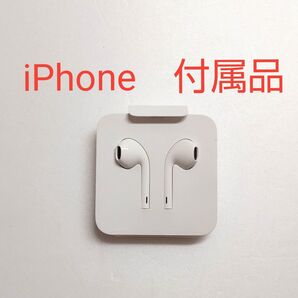新品未使用 純正 付属品 Apple iPhone ライトニング 有線イヤホン アップル Lightning イヤホン イヤフォン