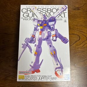MG 1/100 クロスボーンガンダムX-1 Ver.Ka【新品未使用品】