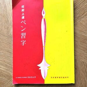 短期上達ペン習字 狩田巻山