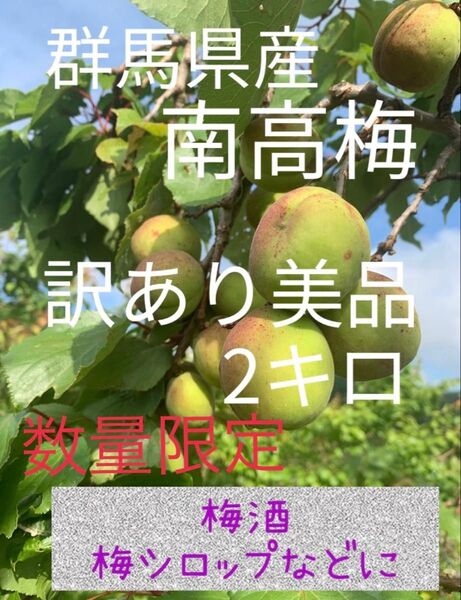 数量限定 群馬県産 南高梅 訳あり美品 2キロ 無農薬