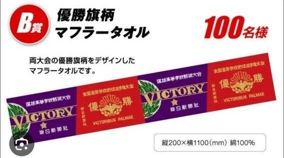 希少 2025 高校野球応援キャンペーン 優勝旗柄マフラータオル 非売品