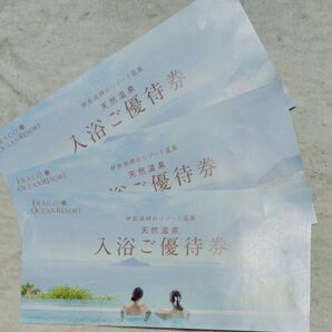 伊良湖 オーシャンリゾート 入浴ご優待券3枚セット