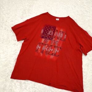 ビッグシルエット US古着 1点物 プリントT Tシャツ レッド 星条旗