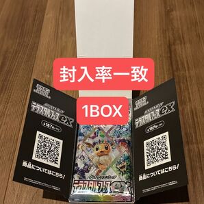 ポケモンカード テラスタルフェスex 1BOX 封入率一致