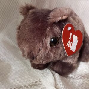 ウォンバット ぬいぐるみ I AU タグ付き ブラウン系