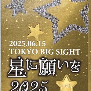 6/15 星に願いを 2025 -day1- サークルチケット 1枚 赤ブー サークルチケット