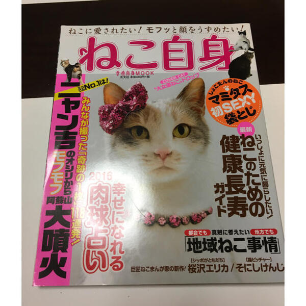 ねこ自身(1匹目) ニャン吉のおしりから阿蘇山もふもふ大噴火! (光文社女性ブックス)