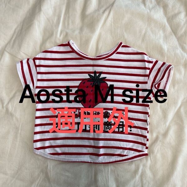 【Aosta M size】レッド ボーダー シャツ ストロベリー