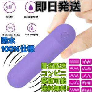 新品 匿名配送 マッサージ機 電マ マッサージャー USB充電 強力 紫