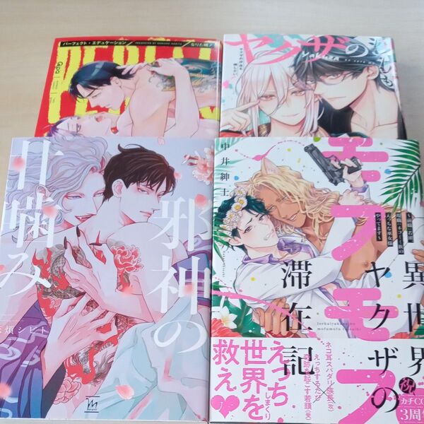 異世界ヤクザのモフモフ滞在記 前職:若頭、現職:ネコミミ族のえっちな巫女様やってます 中井紳士 4冊セット