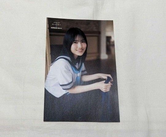 グラビアチャンピオン 櫻坂46 的野美青 ポストカード