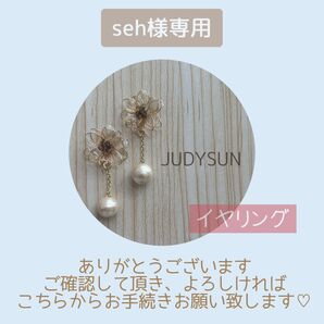 seh様専用
