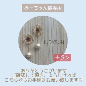 みーちゃん様専用