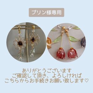 プリン様専用