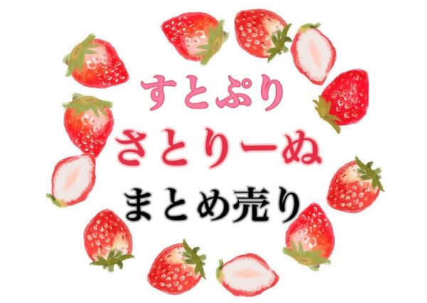 すとぷり 莉犬くん さとみくん グッズまとめ売り