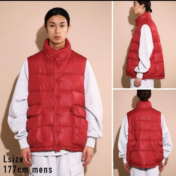 DAIWA PIER39 ダウンベスト TECH BACK PACKER DOWN VEST